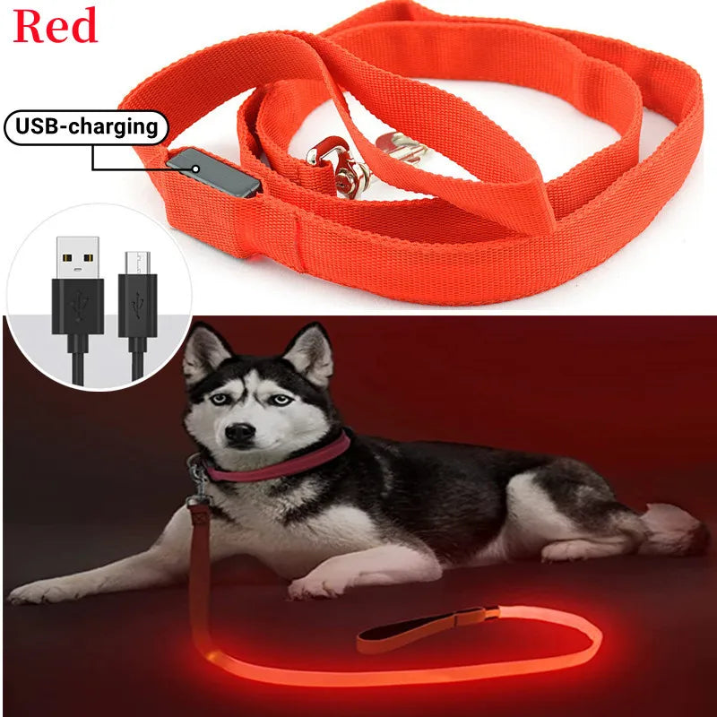 collier et laisse nylon lumineux USB rouge