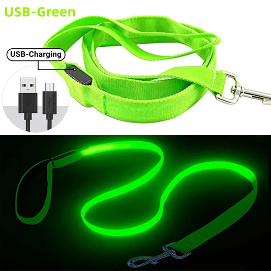 collier et laisse nylon lumineux USB vert