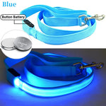 collier et laisse lumineuse pour chien - Vignette | laisse pour chien. fr