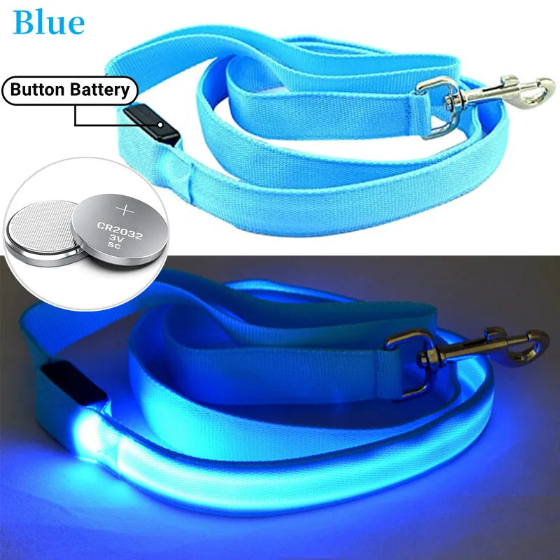 collier et laisse nylon lumineux pile bleu