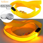 collier et laisse lumineuse pour chien - Vignette | laisse pour chien. fr