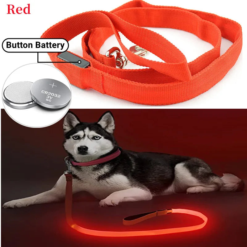 collier et laisse nylon lumineux pile rouge