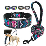 collier et laisse pour chien imprimés - Vignette | laisse pour chien. fr