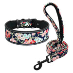 collier et laisse pour chien imprimés - Vignette | laisse pour chien. fr