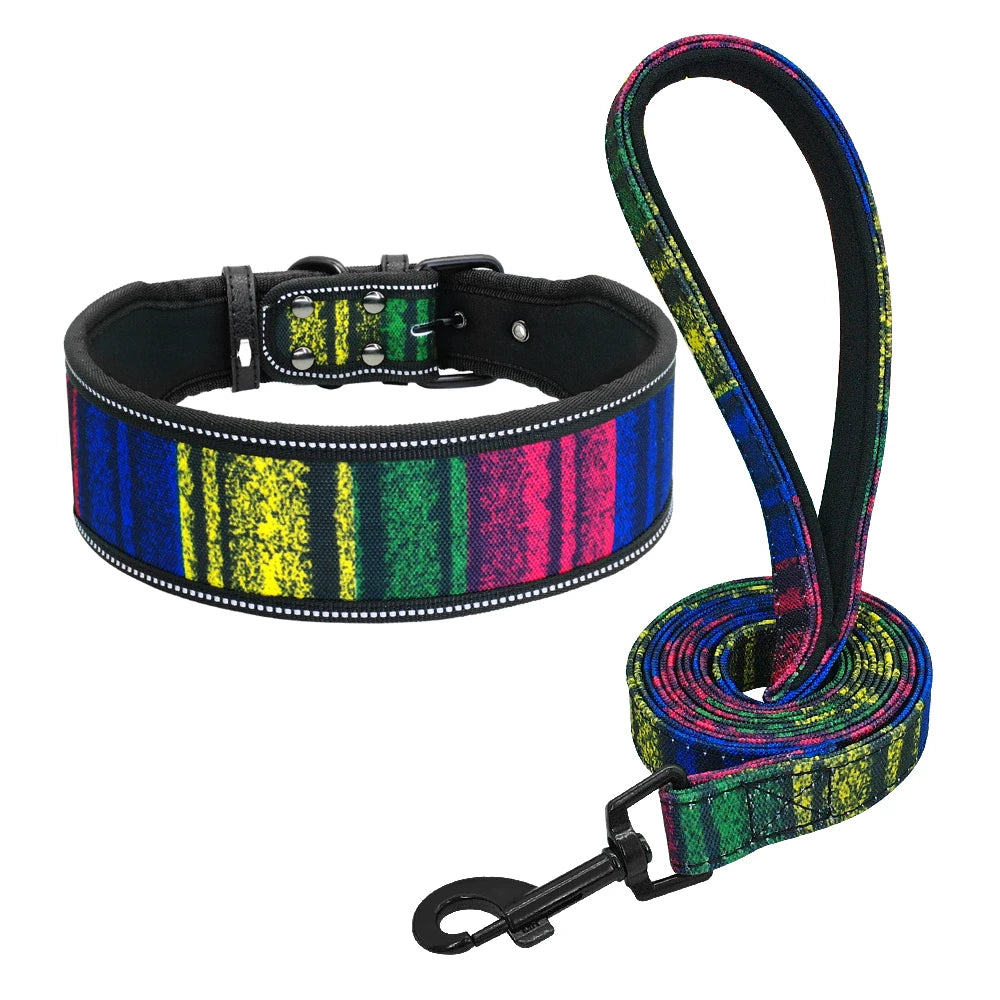 collier et laisse nylon motif imprimé trait