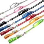 collier et laisse pour chien - Vignette | laisse pour chien. fr