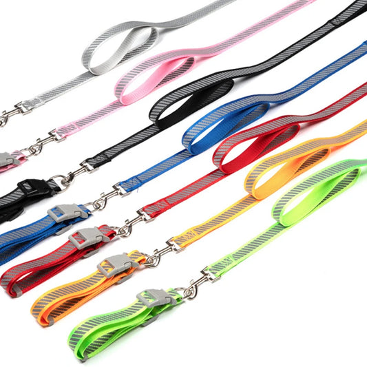 collier et laisse nylon reflechissante
