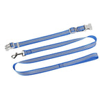 collier et laisse pour chien - Vignette | laisse pour chien. fr