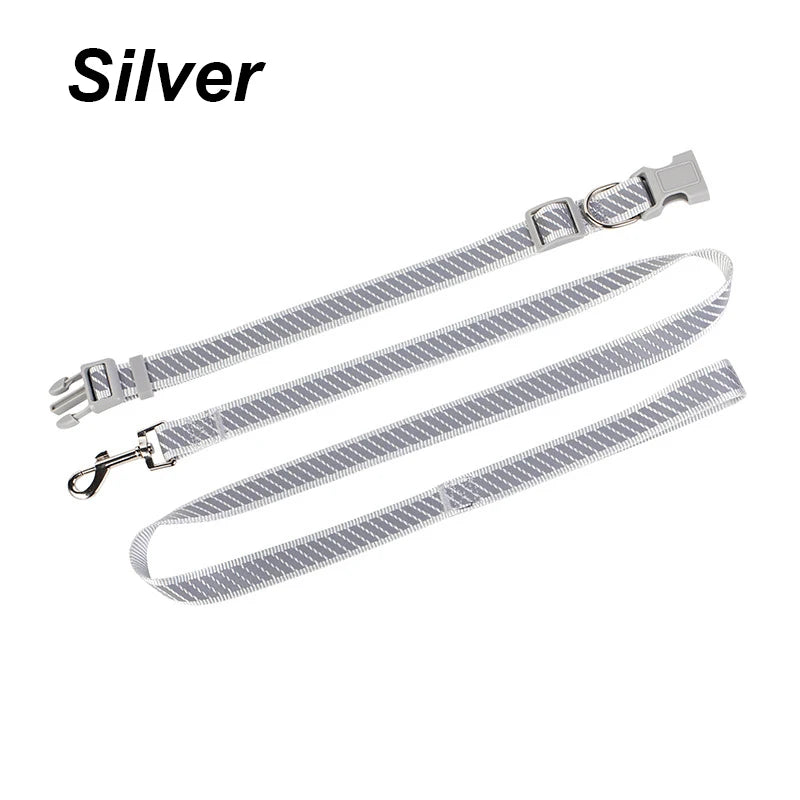 collier et laisse nylon reflechissante gris