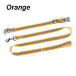 collier et laisse pour chien - Vignette | laisse pour chien. fr