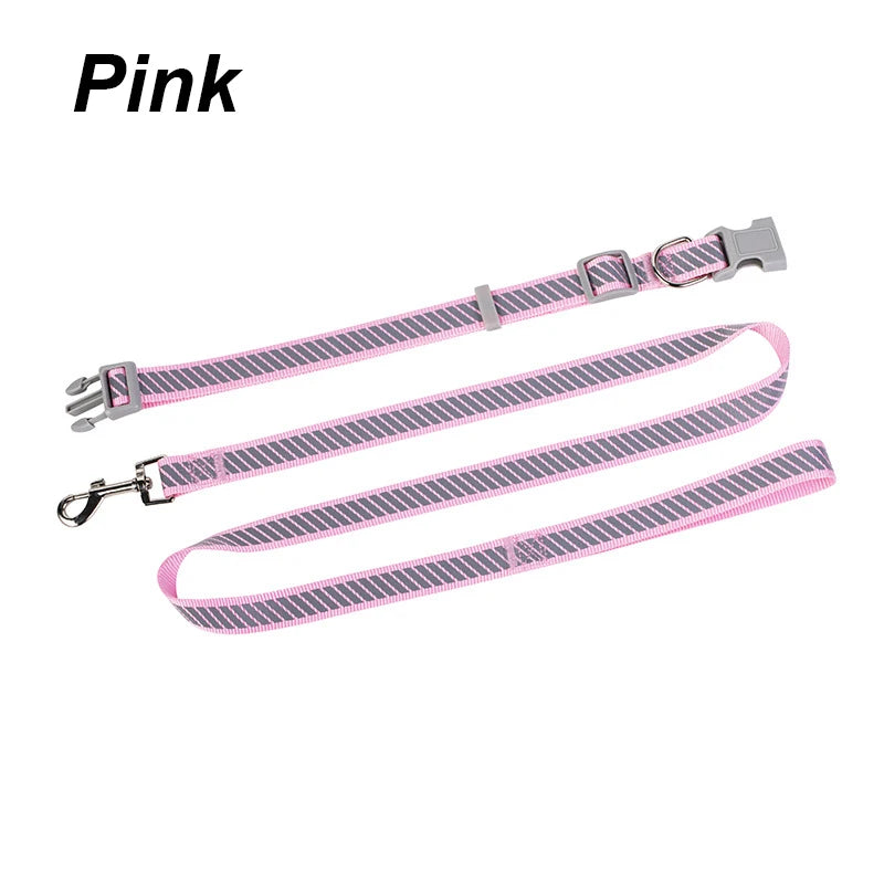 collier et laisse nylon reflechissante rose