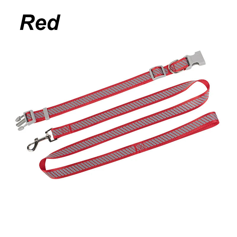 collier et laisse nylon reflechissante rouge