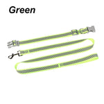 collier et laisse pour chien - Vignette | laisse pour chien. fr