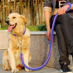 collier et laisse  pour chien - Vignette | laisse pour chien. fr