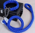 collier et laisse  pour chien - Vignette | laisse pour chien. fr