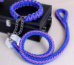 collier et laisse  pour chien - Vignette | laisse pour chien. fr