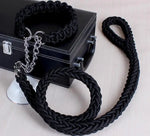collier et laisse  pour chien - Vignette | laisse pour chien. fr
