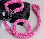 collier et laisse  pour chien - Vignette | laisse pour chien. fr