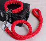 collier et laisse  pour chien - Vignette | laisse pour chien. fr