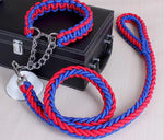 collier et laisse  pour chien - Vignette | laisse pour chien. fr