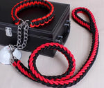 collier et laisse  pour chien - Vignette | laisse pour chien. fr