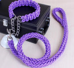 collier et laisse  pour chien - Vignette | laisse pour chien. fr