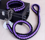 collier et laisse  pour chien - Vignette | laisse pour chien. fr