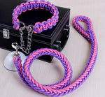 collier et laisse  pour chien - Vignette | laisse pour chien. fr