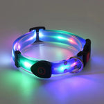 collier et laisse pour chien lumineux - Vignette | laisse pour chien. fr