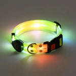 collier et laisse pour chien lumineux - Vignette | laisse pour chien. fr