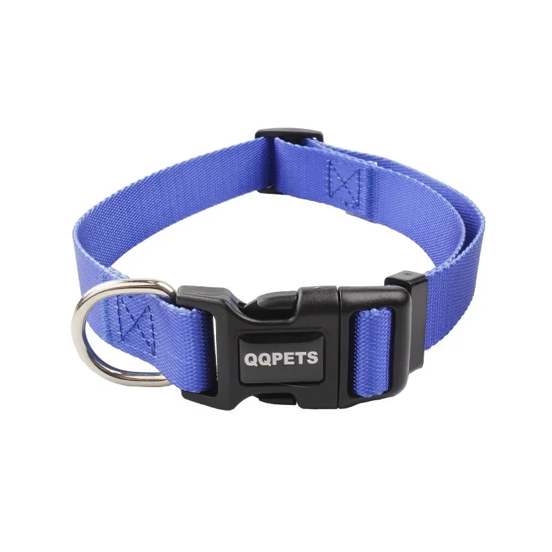 collier nylon bleu