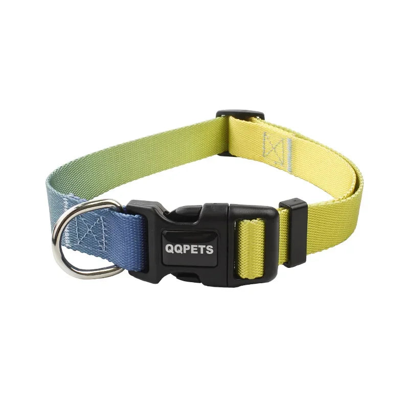 collier nylon jaune et bleu