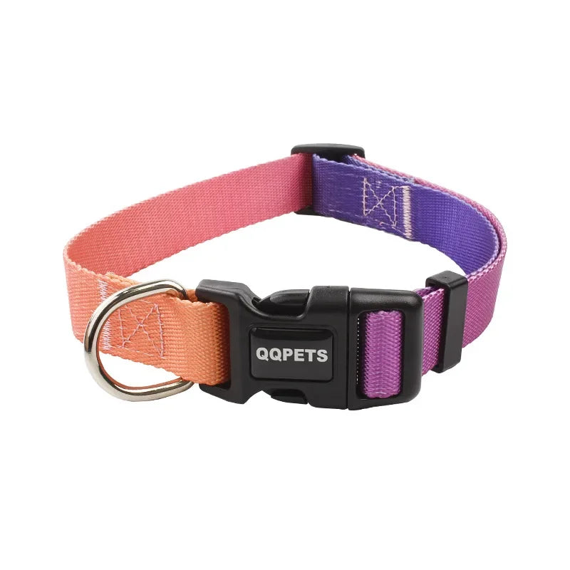 collier nylon orange et violet