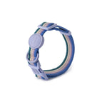collier laisse et harnais pour chien - Vignette | laisse pour chien. fr