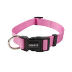 collier et laisse pour chien - Vignette | laisse pour chien. fr