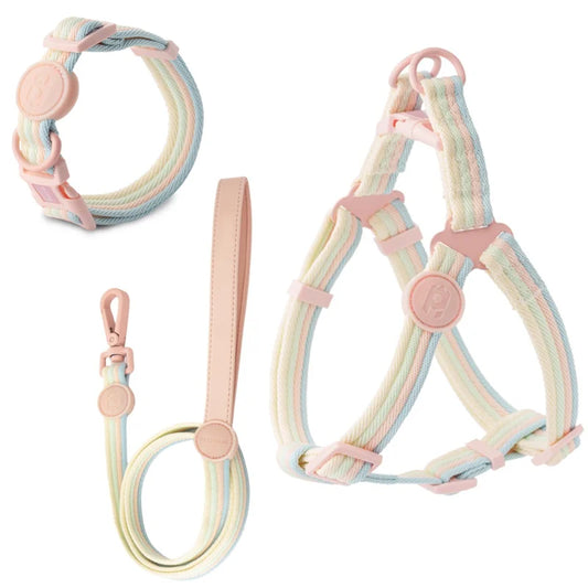 collier ou laisse ou harnais