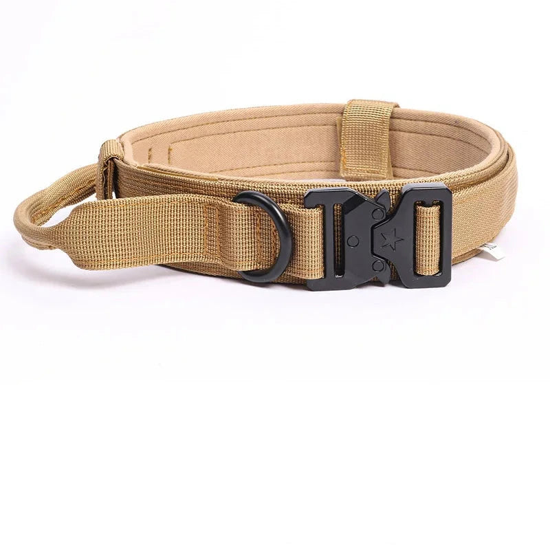 collier tactique pour chien beige