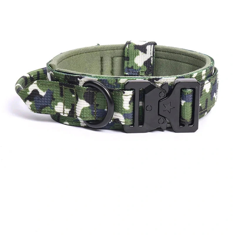 collier tactique pour chien camouflage vert