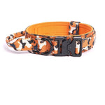 Collier tactique pour chien - Vignette | laisse pour chien. fr