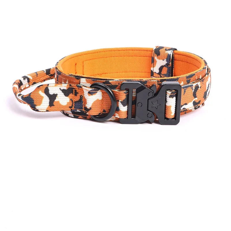 collier tactique pour chien camouflage orange