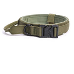 Collier tactique pour chien - Vignette | laisse pour chien. fr