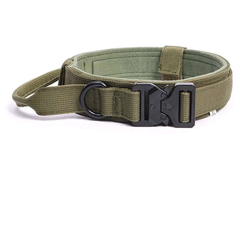 collier tactique pour chien kaki