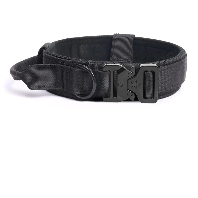 collier tactique pour chien noir
