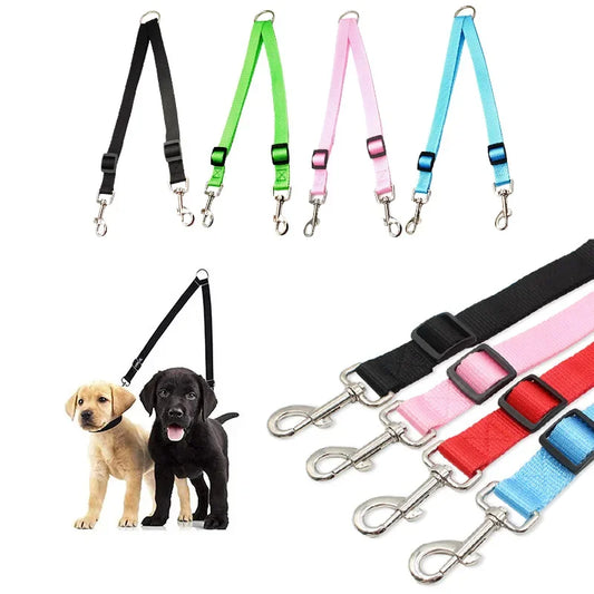 coupleur de laisse nylon couleur