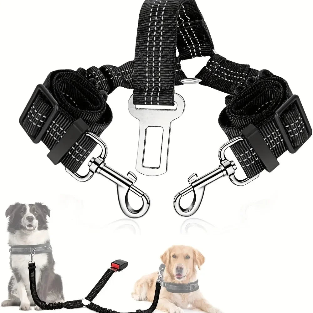  double ceinture de sécurité