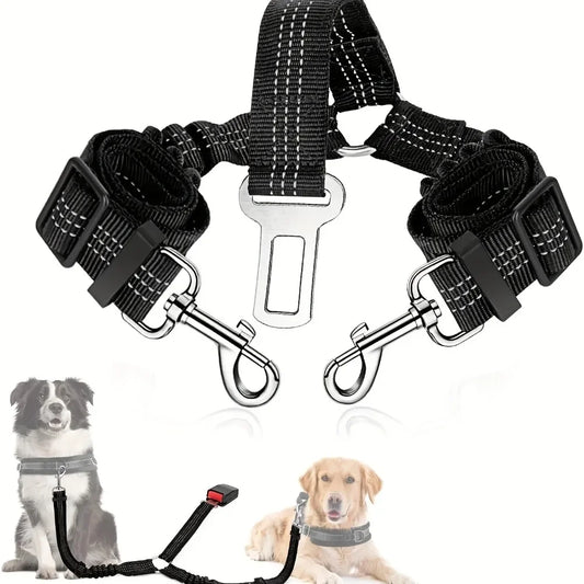  double ceinture de sécurité