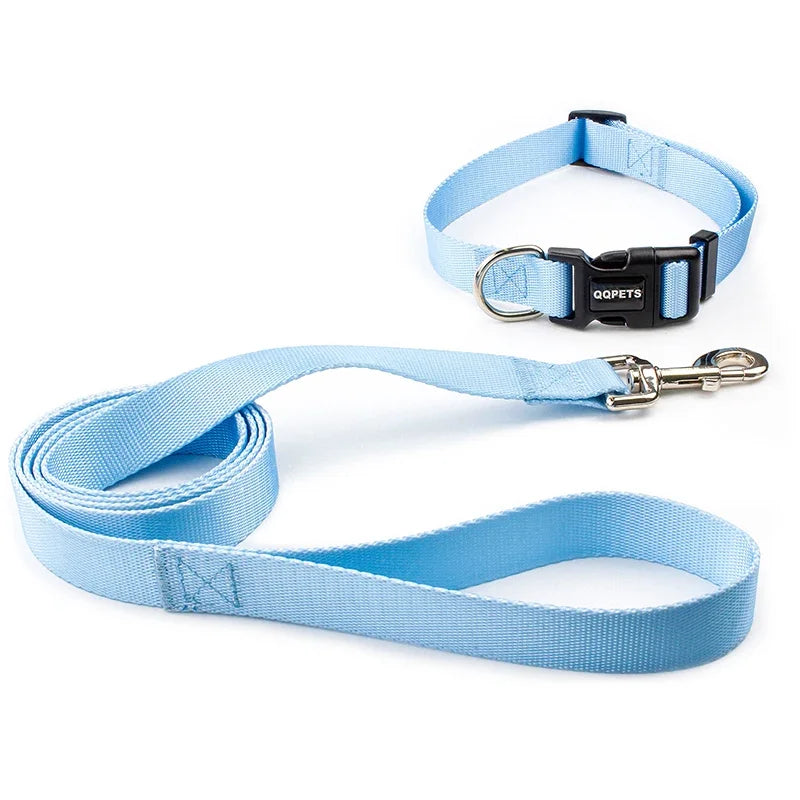 ensemble collier et laisse nylon bleu ciel