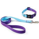 collier et laisse pour chien - Vignette | laisse pour chien. fr