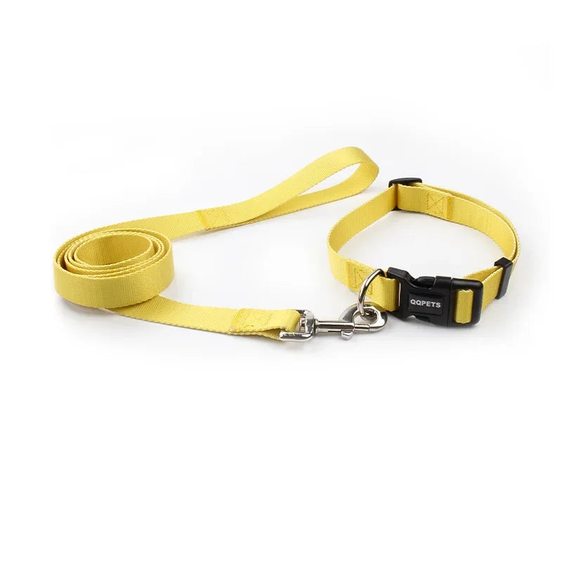 ensemble collier et laisse nylon jaune