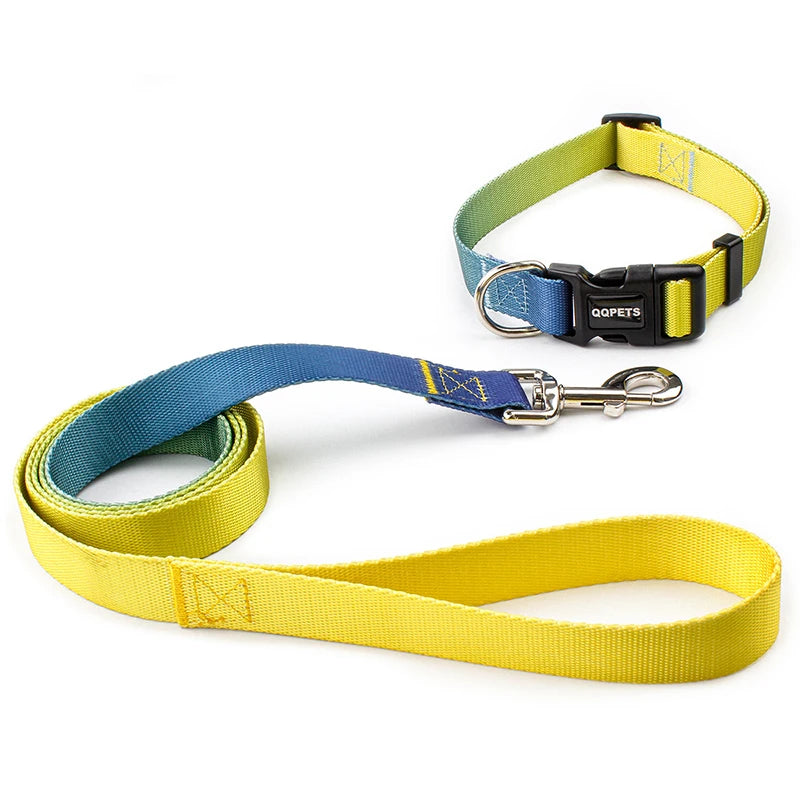 ensemble collier et laisse nylon jaune et bleu